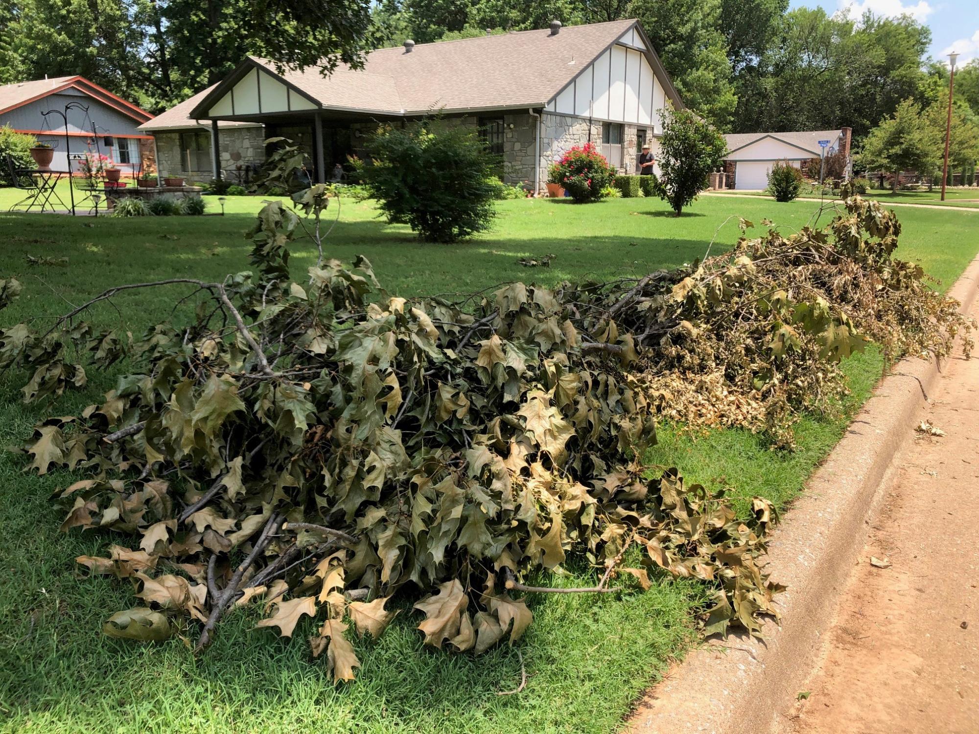 Storm Debris piled near curb