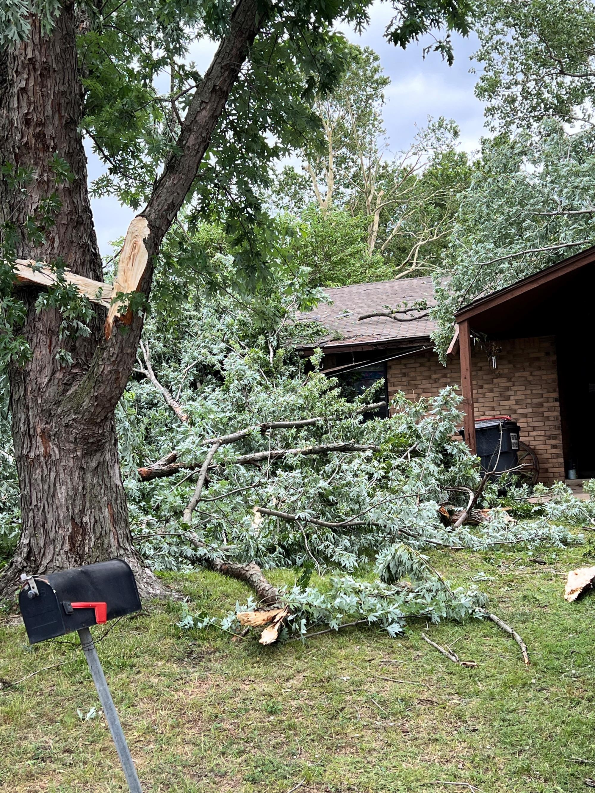 Storm damage